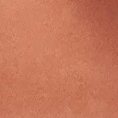 501287 - SALMONE